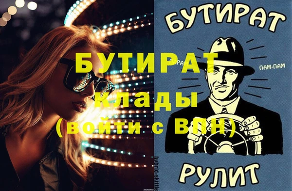 индика Туринск