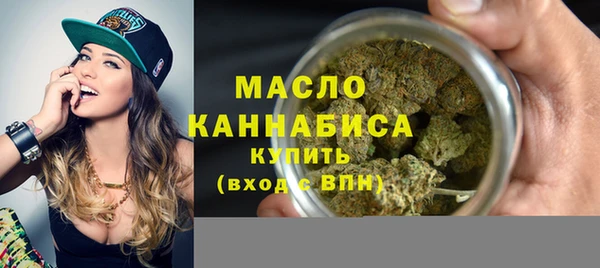 индика Туринск